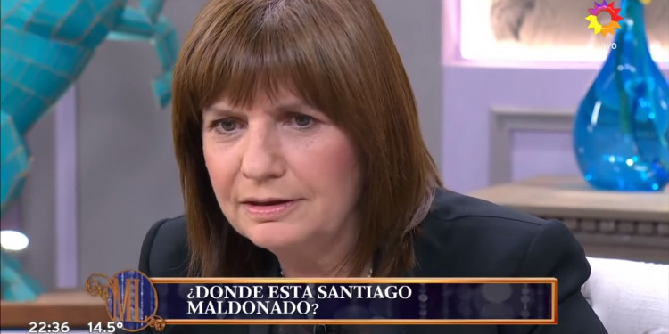 Maldonado: resultado de pericia avala "hipótesis oficial" sobre Gendarmería