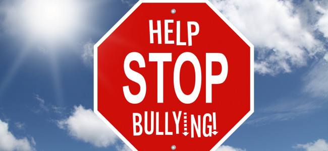 Cuál es el rol de los adultos para evitar el ciberbullying