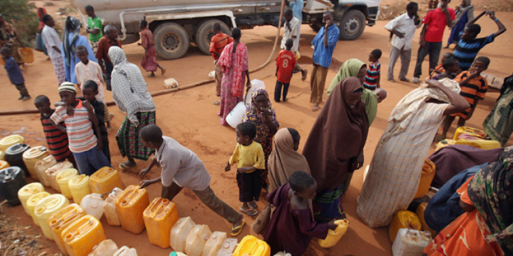 Somalia: 40 mil personas caminan en busca de agua y comida