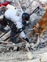 Capacitarán a bomberos voluntarios en la búsqueda de personas bajo los escombros