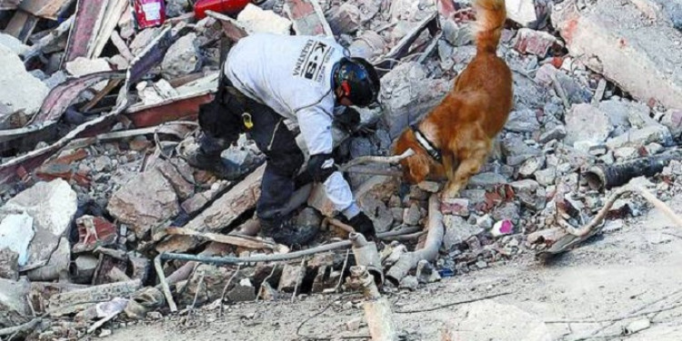 Capacitarán a bomberos voluntarios en la búsqueda de personas bajo los escombros