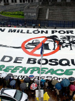 Greenpeace denuncia que la deforestación en el norte del país fue de más de 125.000 hectáreas durante 2023