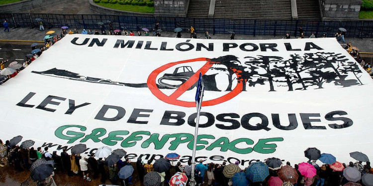 Greenpeace denuncia que la deforestación en el norte del país fue de más de 125.000 hectáreas durante 2023