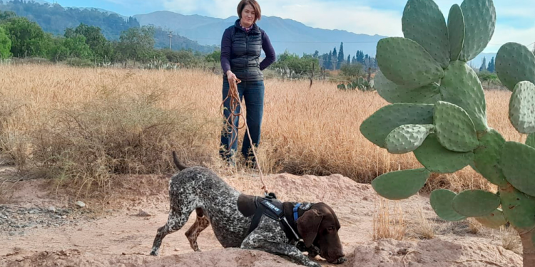 Investigadora del CONICET Mendoza une conservación y salud pública mediante perros de detección