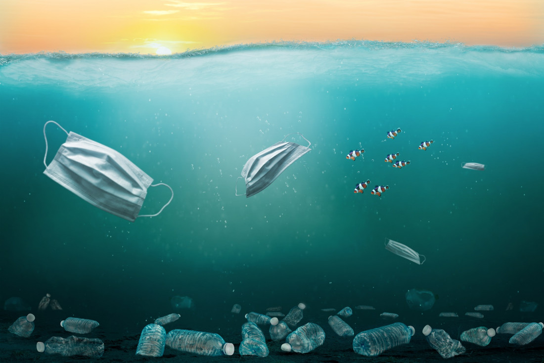 Tras 20 años de debate, el Tratado de Alta Mar entra en vigor y protege los océanos