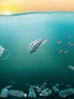 Tras 20 años de debate, el Tratado de Alta Mar entra en vigor y protege los océanos