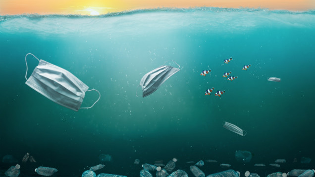 imagen Tras 20 años de debate, el Tratado de Alta Mar entra en vigor y protege los océanos