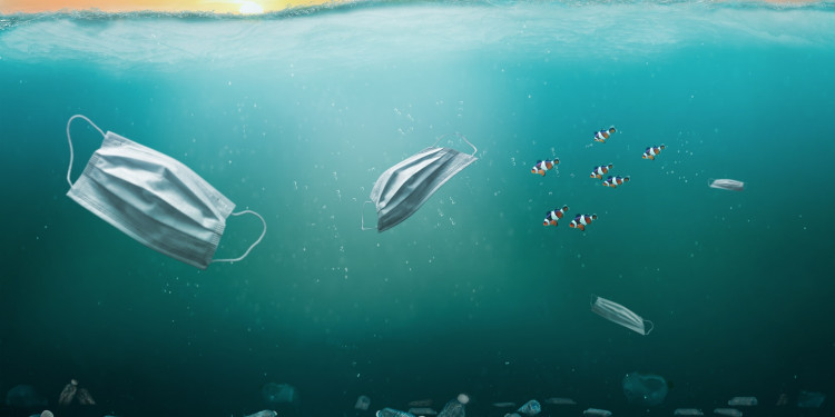 Tras 20 años de debate, el Tratado de Alta Mar entra en vigor y protege los océanos