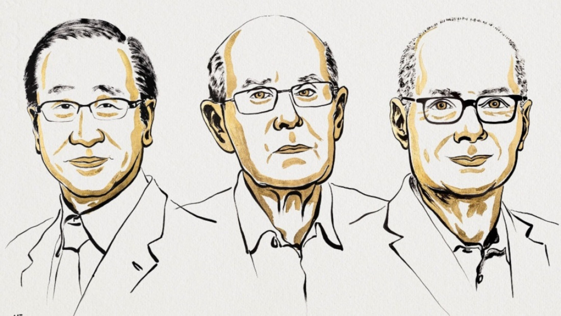 Por qué ganaron el Nobel de Química los creadores de las estructuras metalorgánicas
