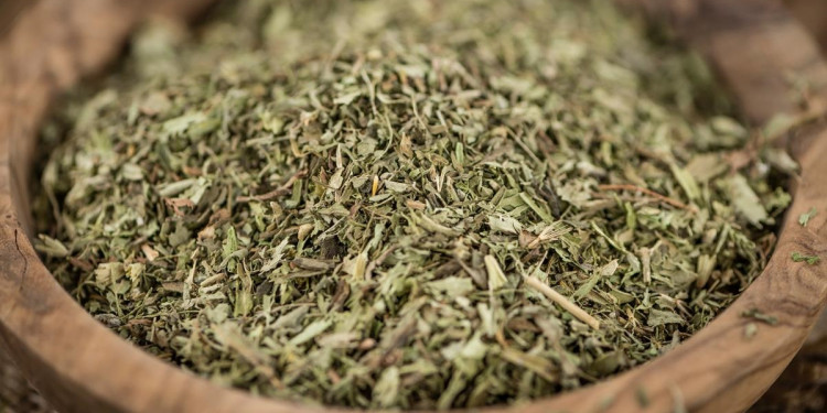 El consumo de yerba orgánica se expande en la Argentina