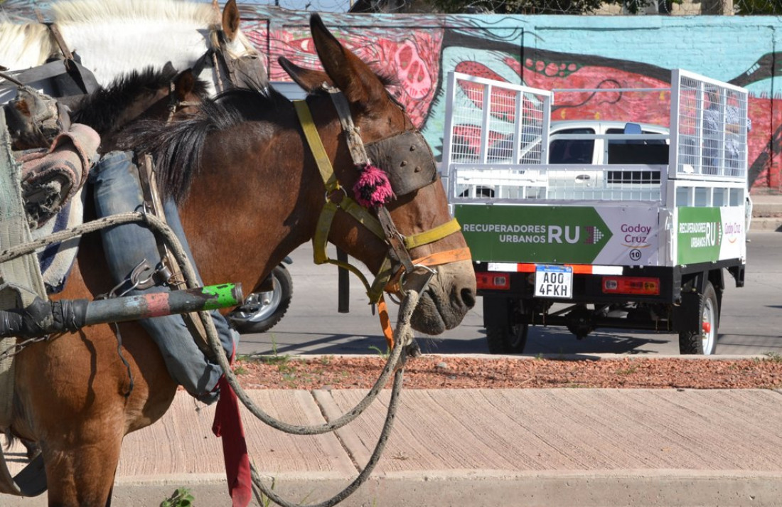Godoy Cruz "jubila" caballos carreteleros