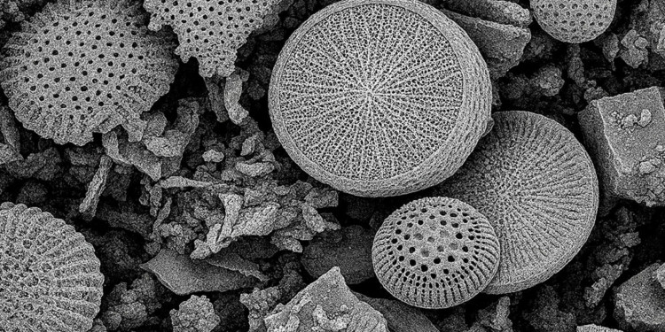 Equipo del Conicet desarrolla un dispositivo de uso doméstico para remover micro y nanoplásticos del agua