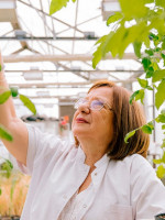 Raquel Chan, la científica del Conicet premiada por mejorar la tolerancia de las plantas a los cambios ambientales
