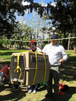 Dictaron una capacitación sobre rescate animal en emergencias