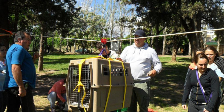 Dictaron una capacitación sobre rescate animal en emergencias