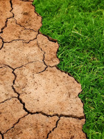 "Es el momento de la acción": limitar el calentamiento global requiere cambios de estilos de vida