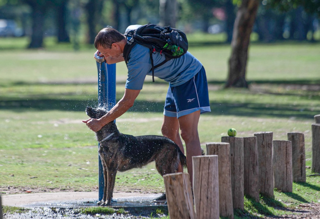 El cambio climático hizo 60 veces más probable la ola de calor que se abatió en la Argentina