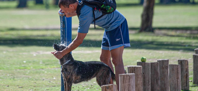 El cambio climático hizo 60 veces más probable la ola de calor que se abatió en la Argentina