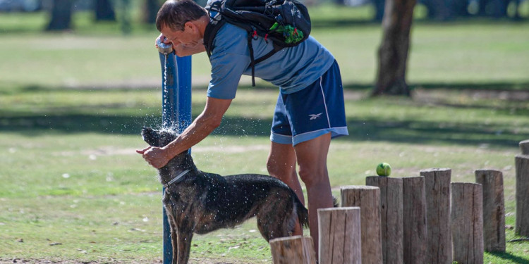 El cambio climático hizo 60 veces más probable la ola de calor que se abatió en la Argentina