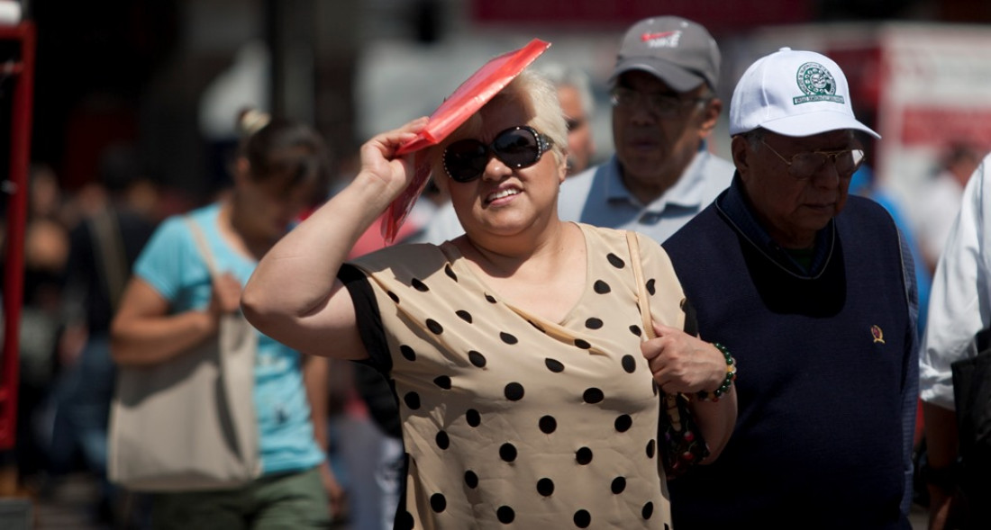 Aranguren reconoció que habrá cortes de luz en el verano