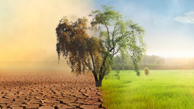 imagen Cambio climático y Mendoza: por qué la acción por el clima es más que urgente 