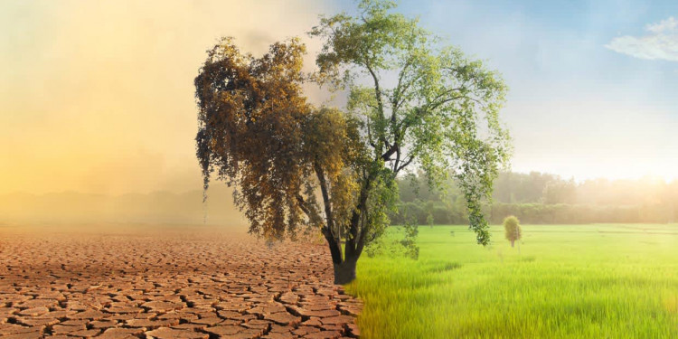 Cambio climático y Mendoza: por qué la acción por el clima es más que urgente 