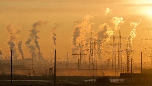 imagen Una alianza de universidades propone que estudiantes se involucren con el cambio climático 