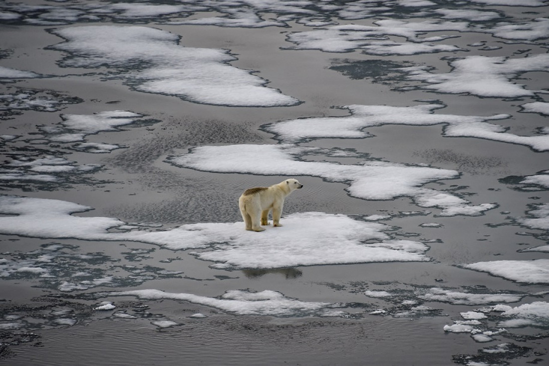 La temperatura media aumentará 1,5 grados hacia 2035, según el último informe sobre cambio climático