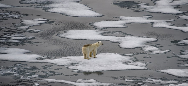 La temperatura media aumentará 1,5 grados hacia 2035, según el último informe sobre cambio climático