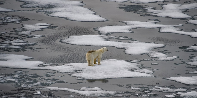 La temperatura media aumentará 1,5 grados hacia 2035, según el último informe sobre cambio climático