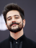 Viña 2023: la organización confirmó al cantante Camilo