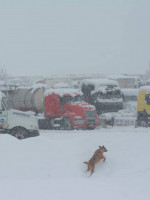 Más de 800 camioneros varados en alta montaña