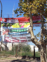 La campaña política y el arbolado público