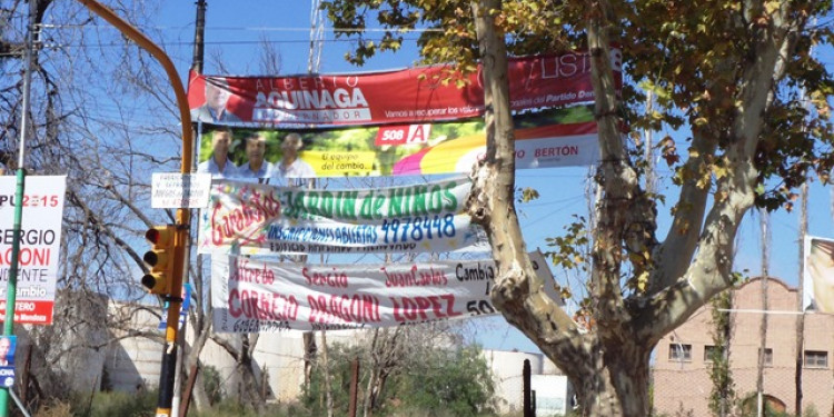 La campaña política y el arbolado público