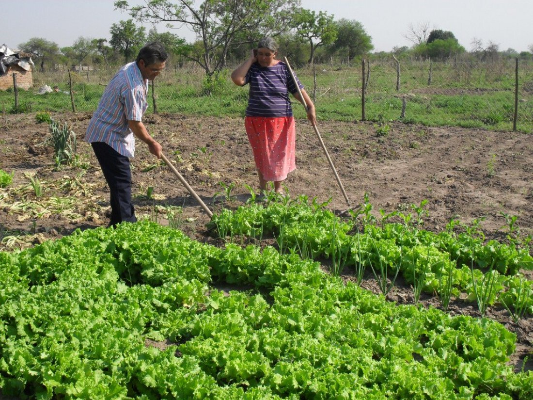 Trabajadores de Agricultura Familiar reclaman respuestas por despidos