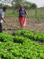 Trabajadores de Agricultura Familiar reclaman respuestas por despidos