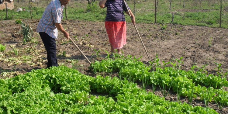 Trabajadores de Agricultura Familiar reclaman respuestas por despidos