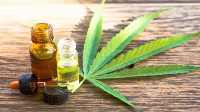 imagen Alberto Fernández promulgó la Ley de Cannabis Medicinal: "Es un triunfo contra la hipocresía"