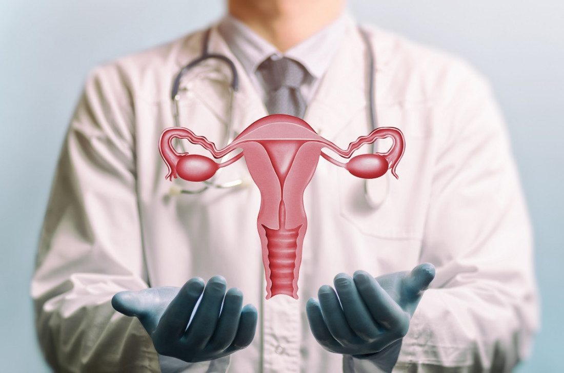 Según un estudio, los microbiomas son indicadores para la detección precoz del cáncer de ovarios