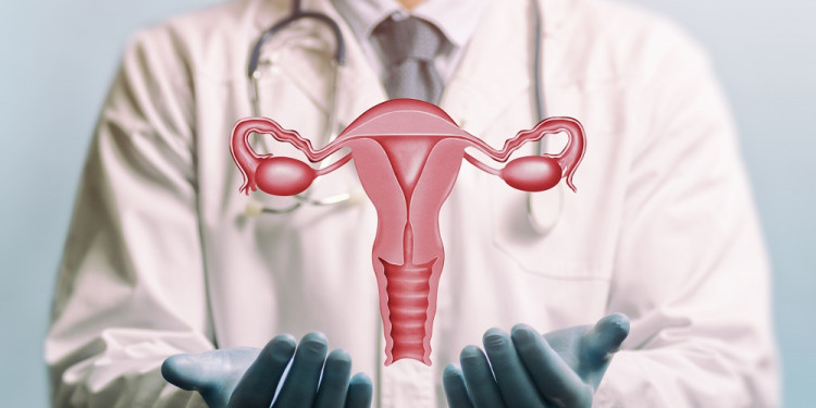 Según un estudio, los microbiomas son indicadores para la detección precoz del cáncer de ovarios