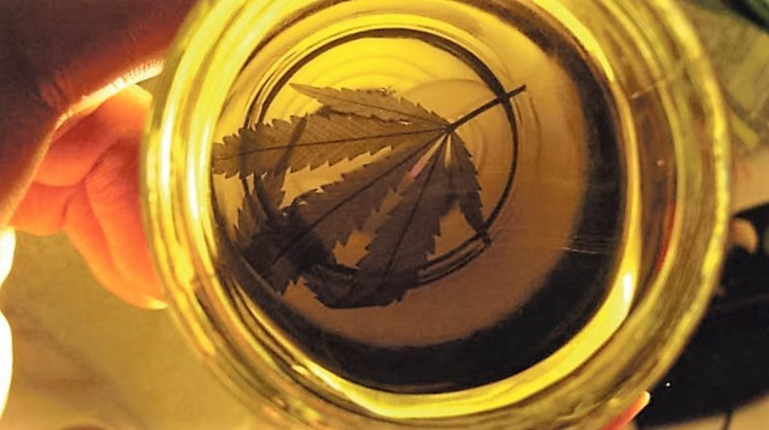 Aval mendocino para el aceite de cannabis