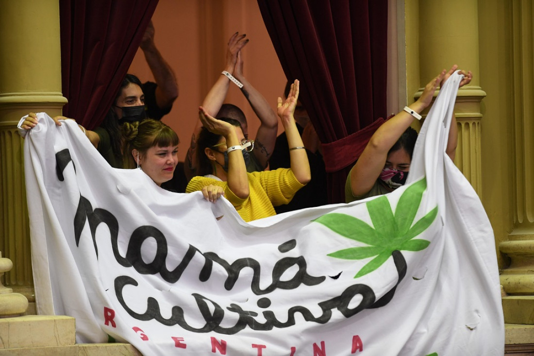 La Confederación Cannábica Argentina celebró la aprobación de la cadena productiva del cannabis medicinal