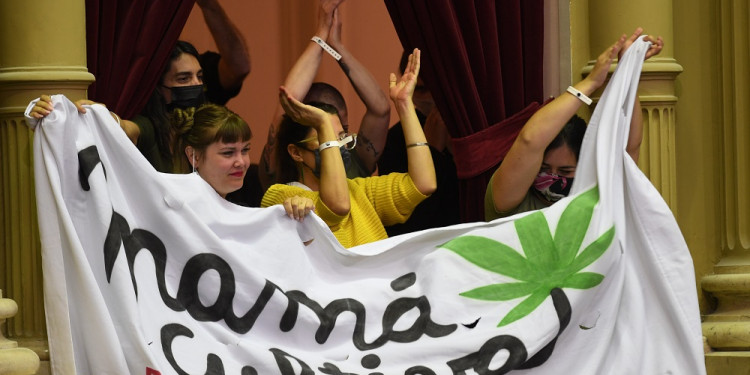 La Confederación Cannábica Argentina celebró la aprobación de la cadena productiva del cannabis medicinal