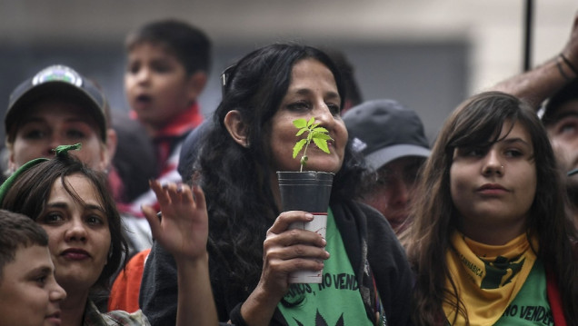 imagen Llegó a la Corte el debate por la despenalización del cannabis con fines medicinales