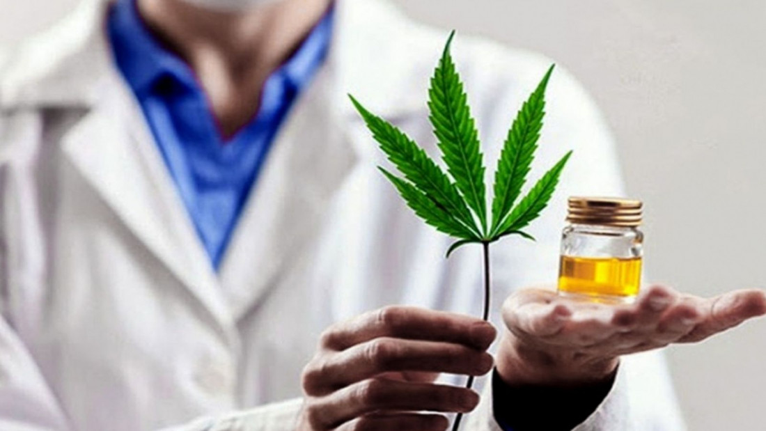 Industria de cannabis medicinal en Mendoza: ¿quiénes podrán producir?