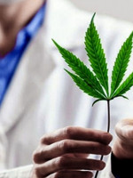 Industria de cannabis medicinal en Mendoza: ¿quiénes podrán producir?