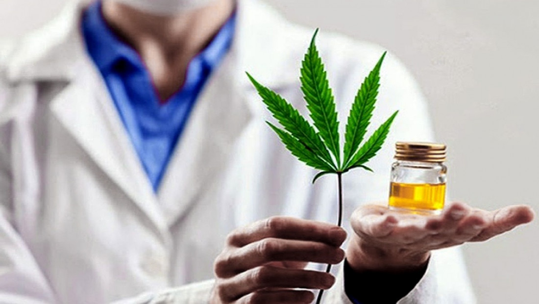 Ya está en funcionamiento la Agencia Regulatoria de la Industria del Cáñamo y el Cannabis Medicinal