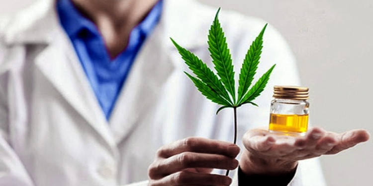 Ya está en funcionamiento la Agencia Regulatoria de la Industria del Cáñamo y el Cannabis Medicinal