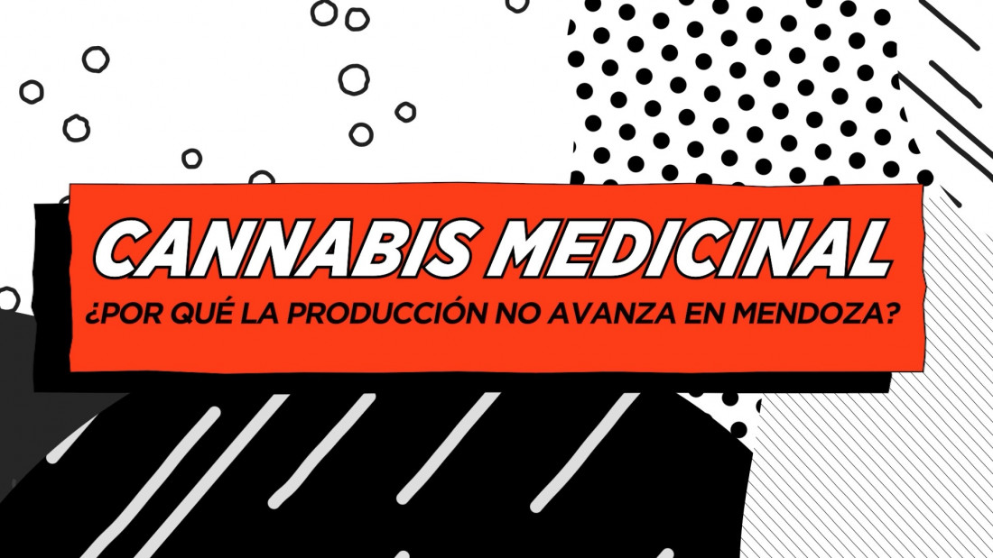 Con voto unánime, avanza el proyecto de ley para el uso del cannabis medicinal