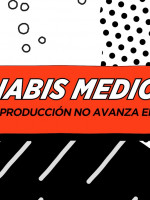 Con voto unánime, avanza el proyecto de ley para el uso del cannabis medicinal